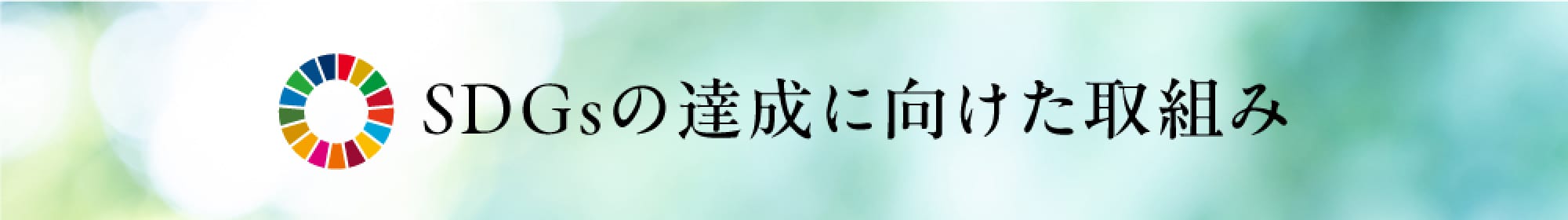 SDGsの達成に向けた取り組み